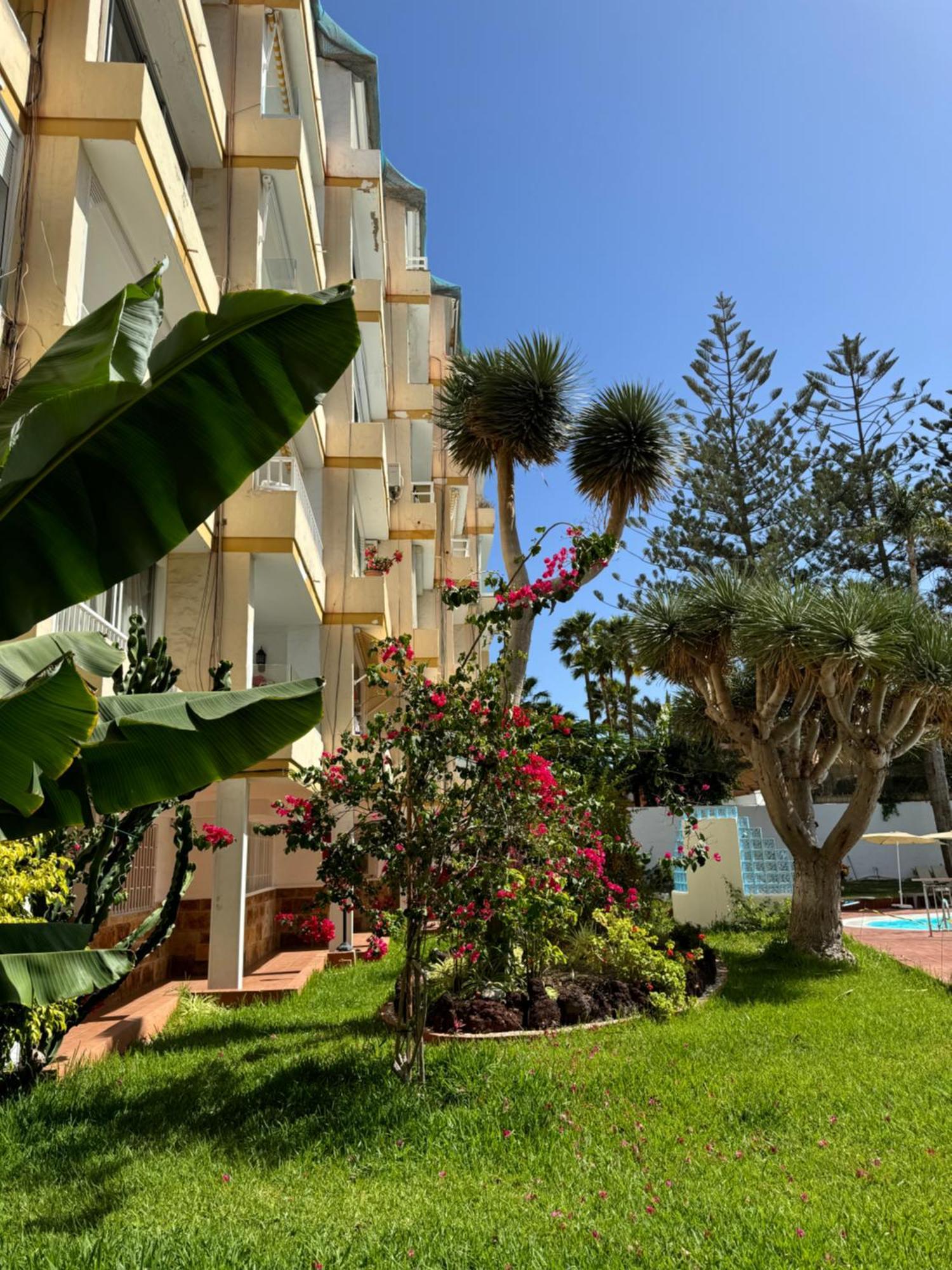 Apartamento Reformado En Apartamentos Tanife, Playa Del Ingles San Bartolomé Eksteriør bilde